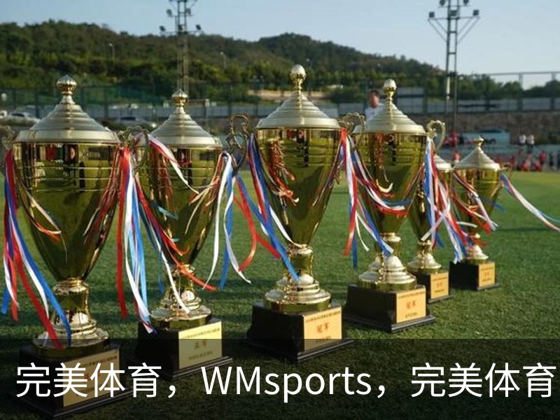 关于完美体育，WMsports，完美体育官方，完美体育平台，完美体育下载
